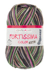 Fortissima 6-fach bunte Sockenwolle 150g | Farbe 159 - GRAU-BUNT