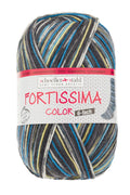 Fortissima 6-fach bunte Sockenwolle 150g | Farbe 160 - BLAU-BUNT