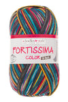 Fortissima 6-fach bunte Sockenwolle 150g | Farbe 161 - PETROL-BUNT