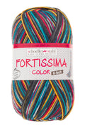 Fortissima 6-fach bunte Sockenwolle 150g | Farbe 161 - PETROL-BUNT