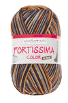Fortissima 6-fach bunte Sockenwolle 150g | Farbe 162 - BRAUN-BUNT