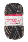 Fortissima 6-fach bunte Sockenwolle 150g | Farbe 166 - RODEO