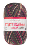 Fortissima 6-fach bunte Sockenwolle 150g | Farbe 168 - EXPEDITION
