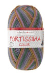 Fortissima bunte 4-fach Sockenwolle | Farbe 2432 - IZU
