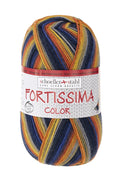 Fortissima bunte 4-fach Sockenwolle | Farbe 2433 - YOKOHAMA