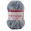 Fortissima bunte 4-fach Sockenwolle | Farbe 2439 - WOLKE