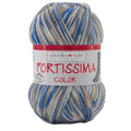 Fortissima Colorful 4-Ply Sock Yarn | Color 2439 - WOLKE