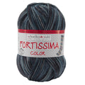 Fortissima bunte 4-fach Sockenwolle | Farbe 2445 - STEIN