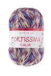 Fortissima bunte 4-fach Sockenwolle | Farbe 2482 - HERBSTLAUB