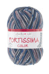 Fortissima bunte 4-fach Sockenwolle | Farbe 2484 - FARMER