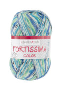 Fortissima Colorful 4-ply Sock Yarn | Color 2489 - ATOLL