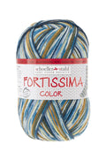 Fortissima bunte 4-fach Sockenwolle | Farbe 2491 - COUNTRY