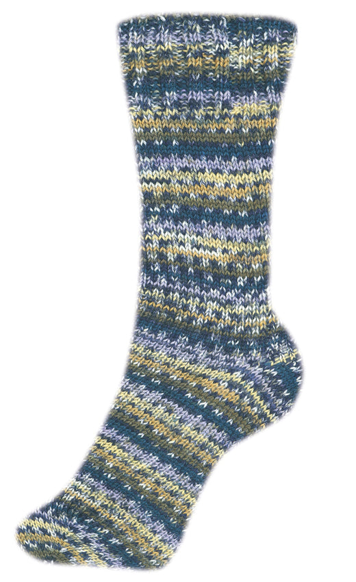 Fortissima bunte 4-fach Sockenwolle | Farbe 2491 - COUNTRY