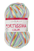 Fortissima Colorful 4-ply Sock Yarn | Color 2493 - PASTELL