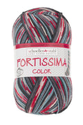 Fortissima Colorful 4-Ply Sock Yarn | Color 2496 - SPORT