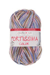 Fortissima bunte 4-fach Sockenwolle | Farbe 2500 - RAUREIF