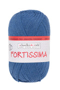 Fortissima 4-fach Uni-Sockenwolle 100g | Farbe 2100 - TAUBE