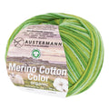 Merino Coton Color | 230 M - 50G | 106 - Pomme