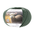 Fortissima 4-ply Merino Sock Yarn 100g | Color 07 - HUNT