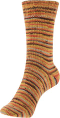 Fortissima 4-ply Merino Sock Yarn 100g | Color 102 - AUTUMN