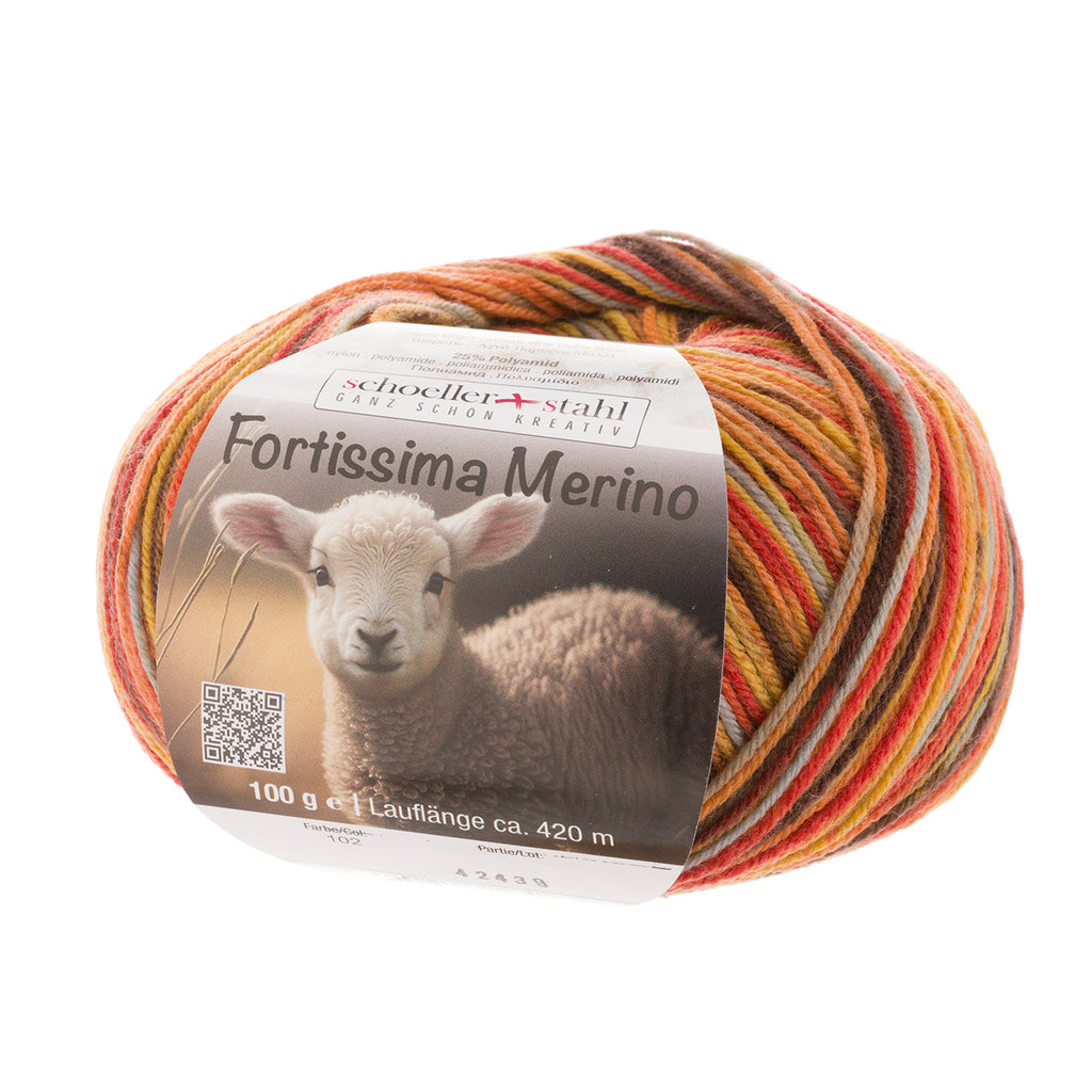 Fortissima 4-ply Merino Sock Yarn 100g | Color 102 - AUTUMN