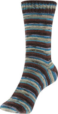 Fortissima 4-ply Merino Sock Yarn 100g | Color 108 - ISLAND