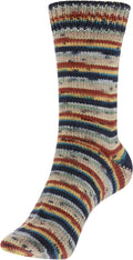 Fortissima 4-ply Merino Sock Yarn 100g | Color 110 - AGATE