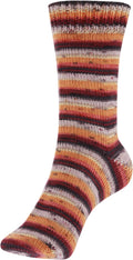 Fortissima 4-ply Merino Sock Yarn 100g | Color 111 - DAHLIE