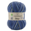 Step 4 Color Exp | 420 M - 100 G | 287 - Blue