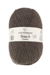 Step 6 Classic Exp | 410 M - 150 G | 6036 - Mocha Melange