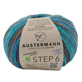 Step 6 Color Exp | 410 M - 150 G | 743 - Turquoise-Multicolor
