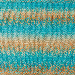 90312-03_strickm_RGB.jpg